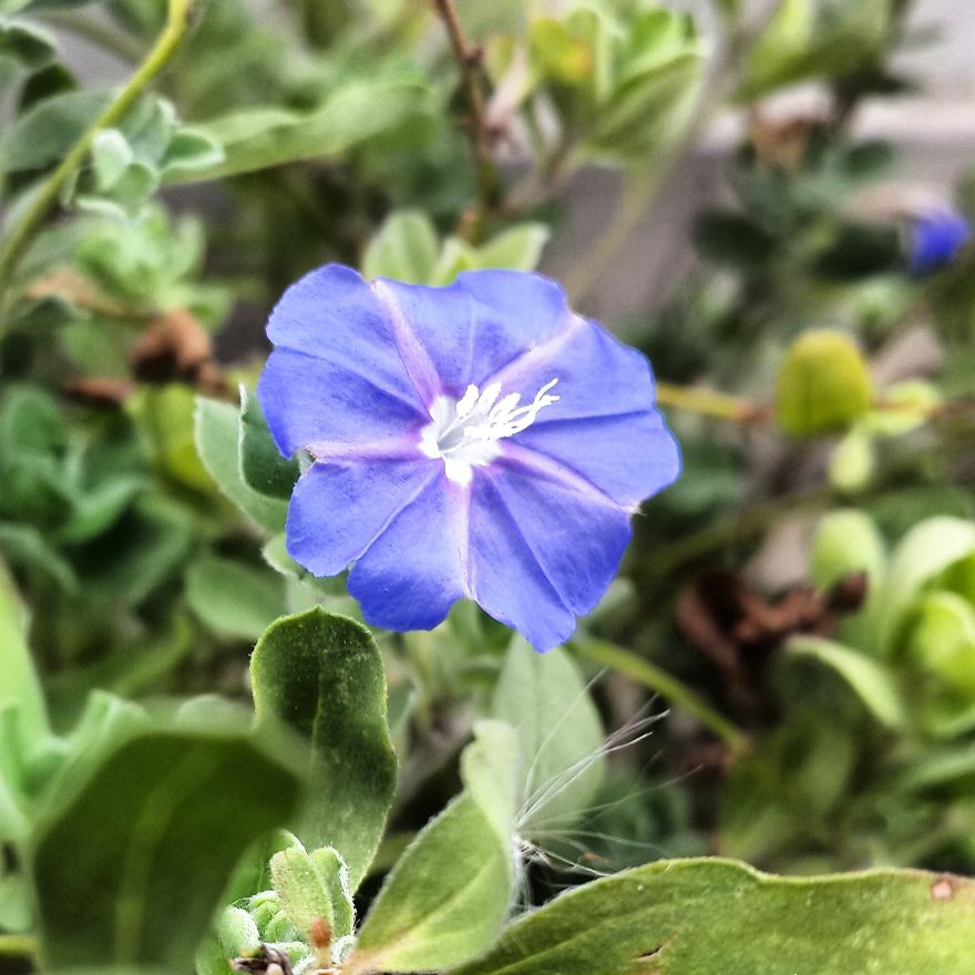 My Nature Photography