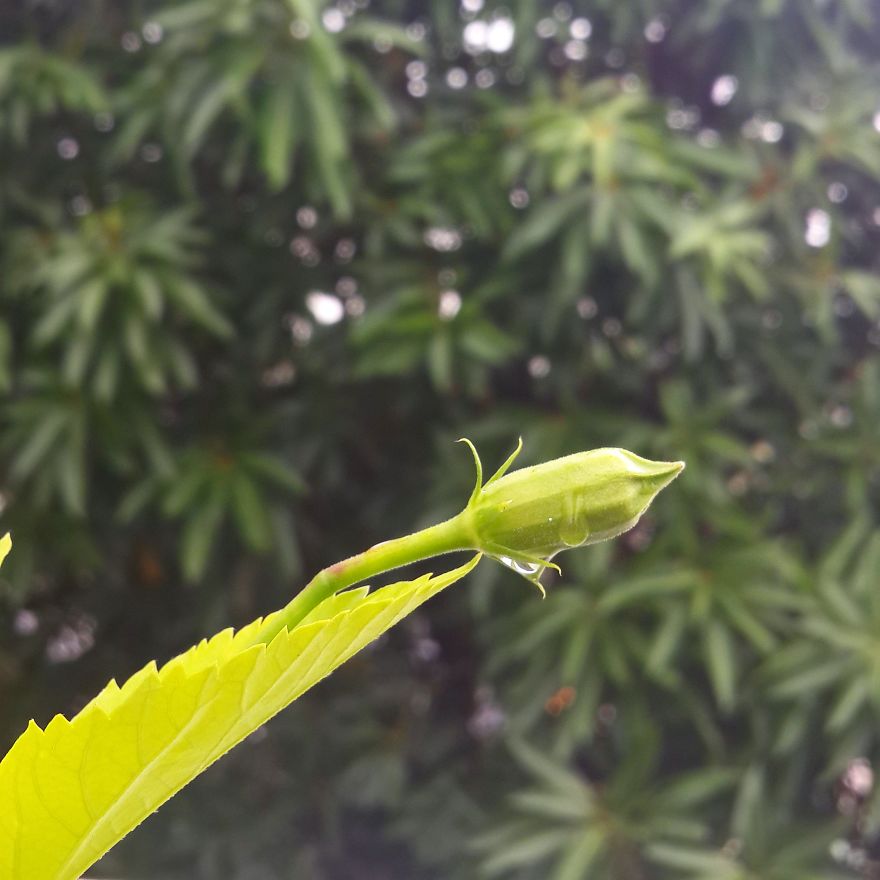 My Nature Photography