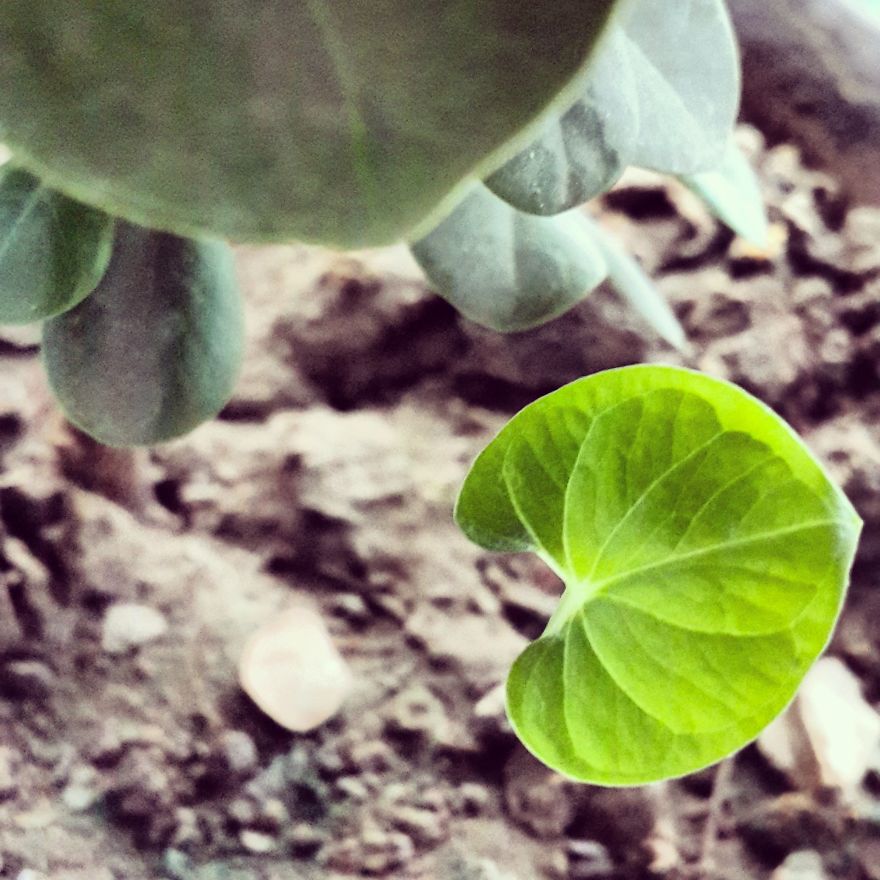 My Nature Photography