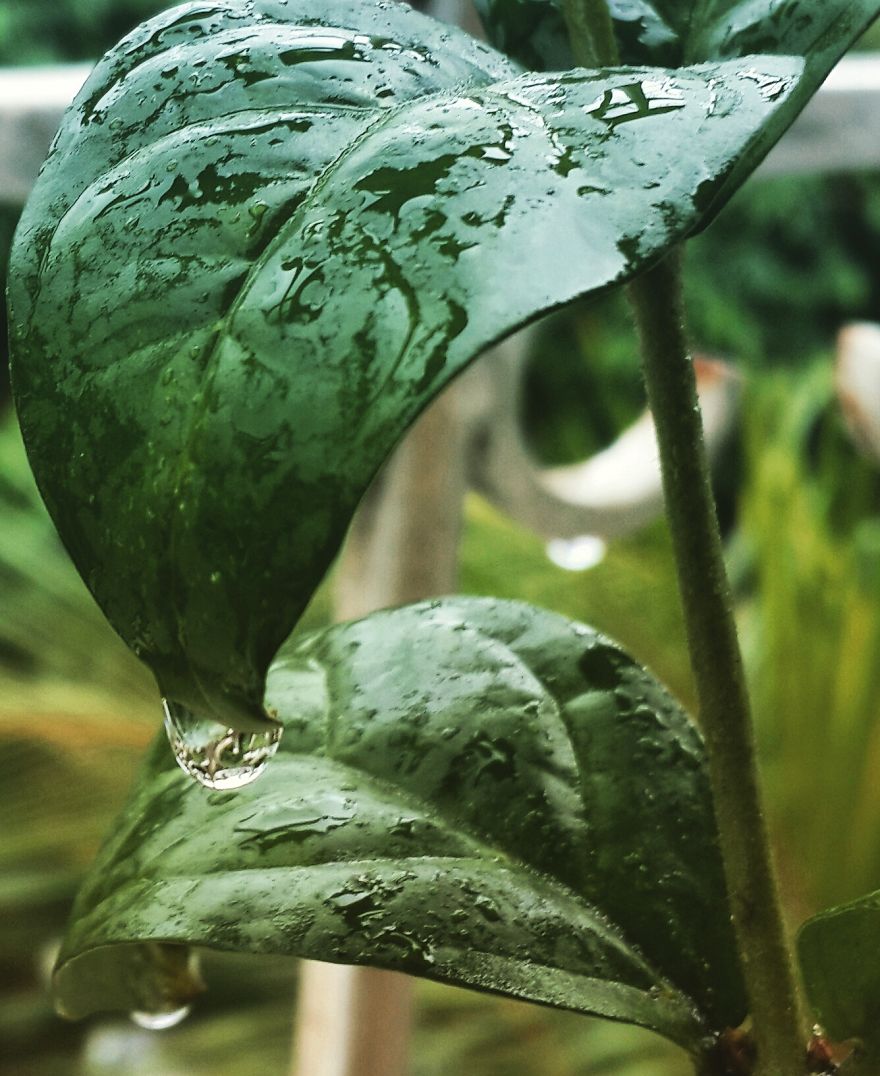 My Nature Photography