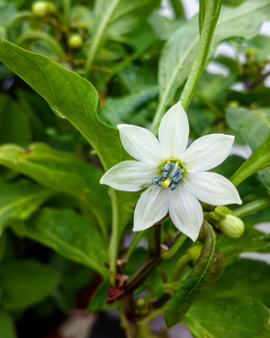 My Nature Photography