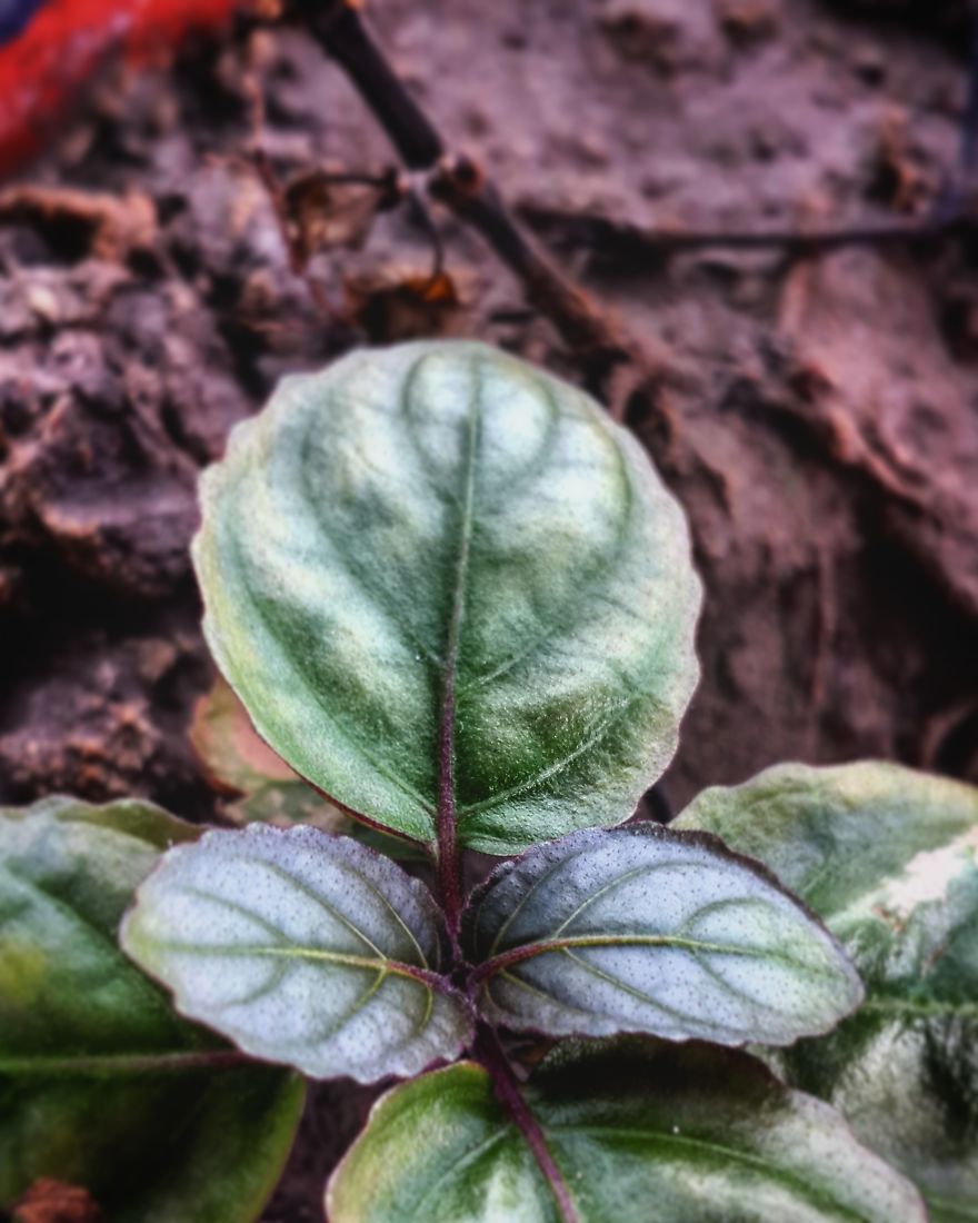 My Nature Photography