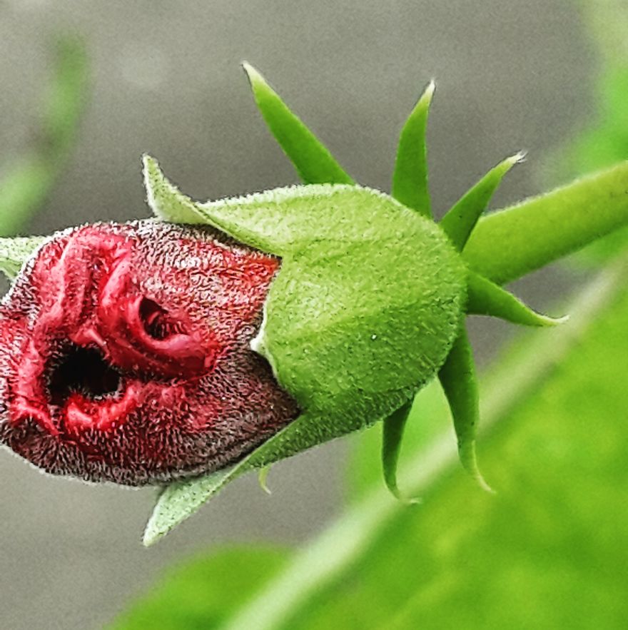 My Nature Photography