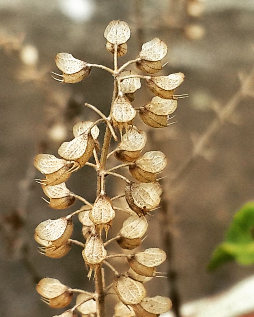 My Nature Photography