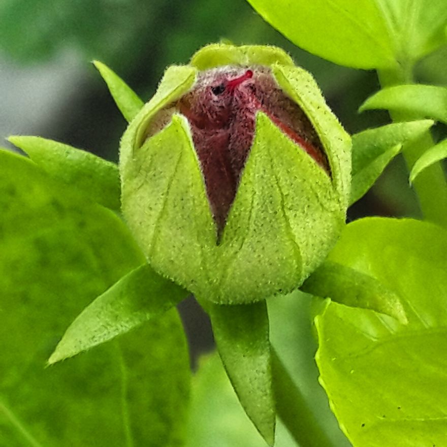 My Nature Photography