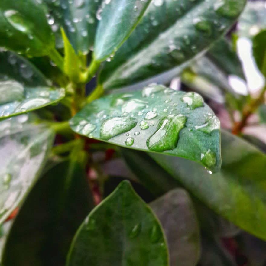 My Nature Photography