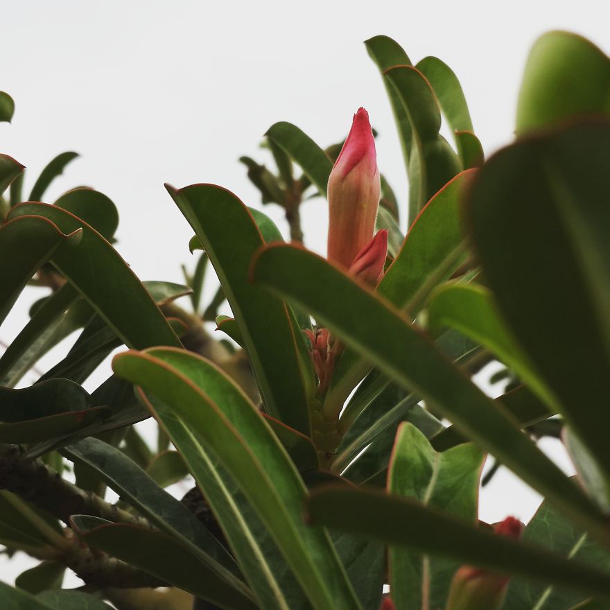 My Nature Photography