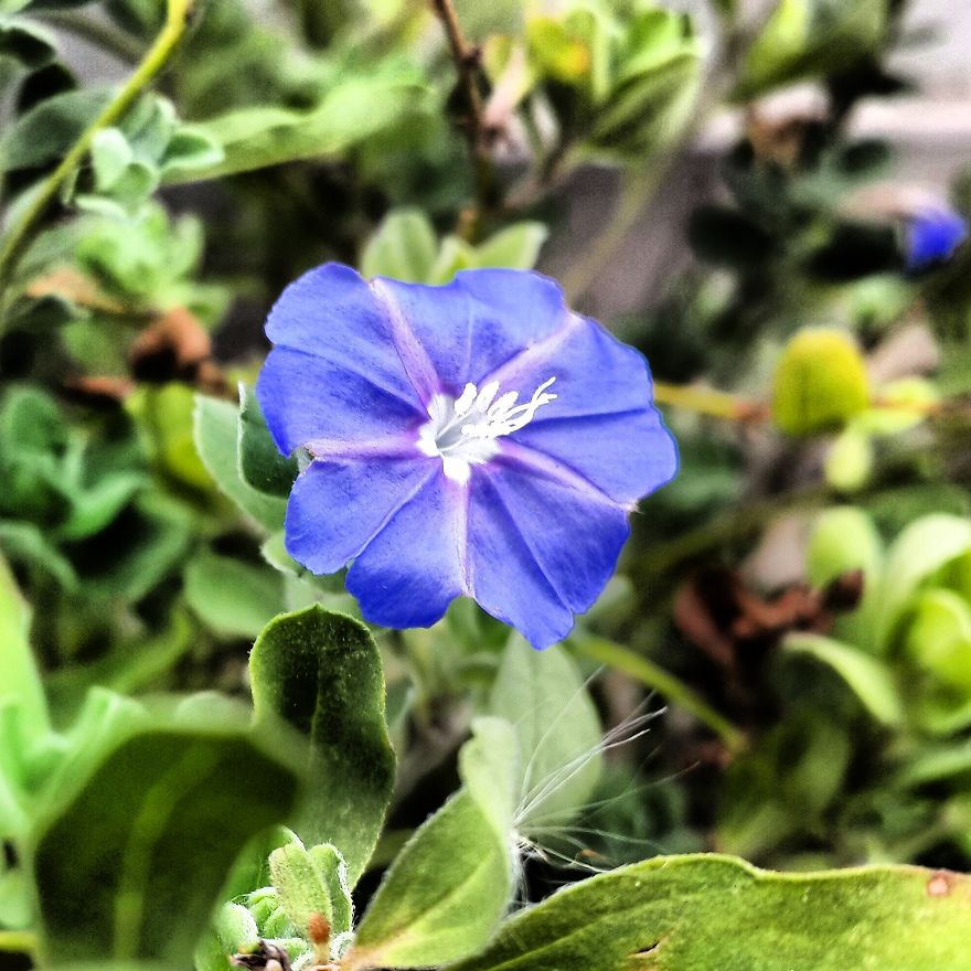 My Nature Photography