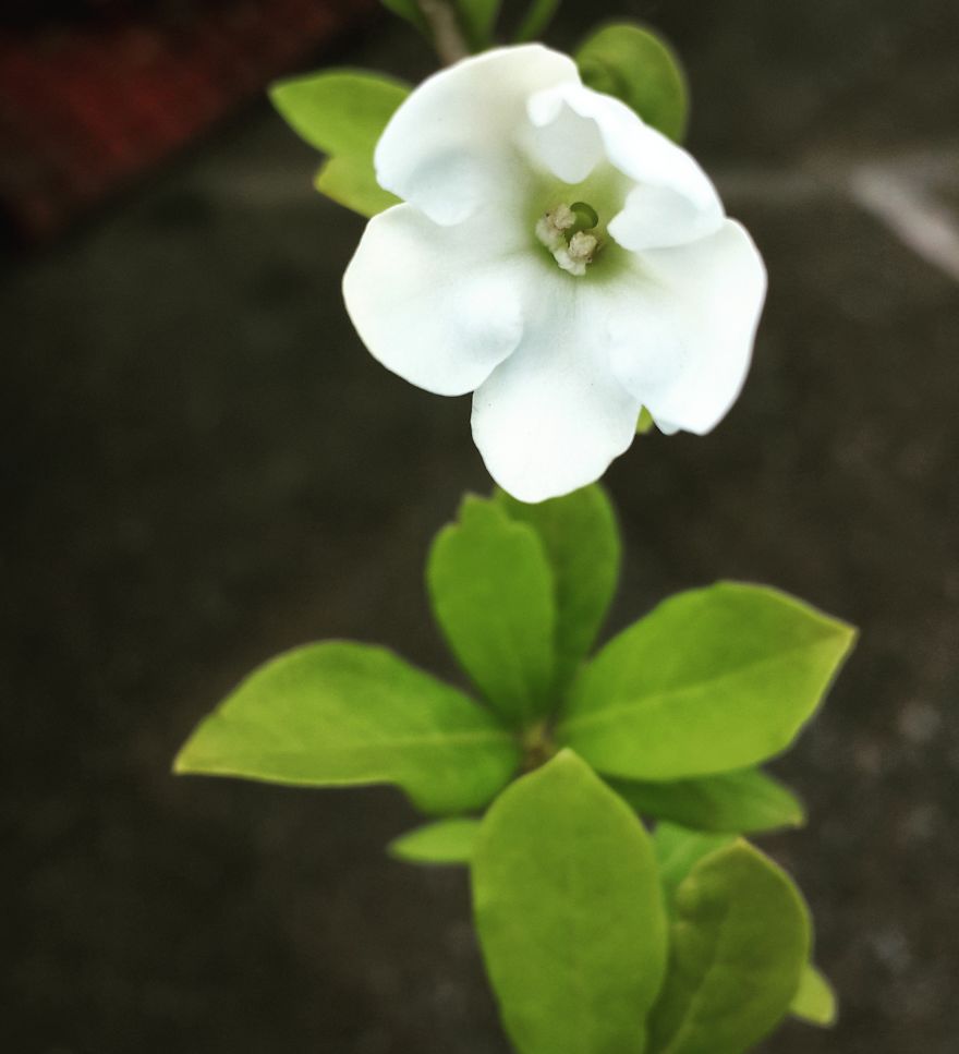 My Nature Photography