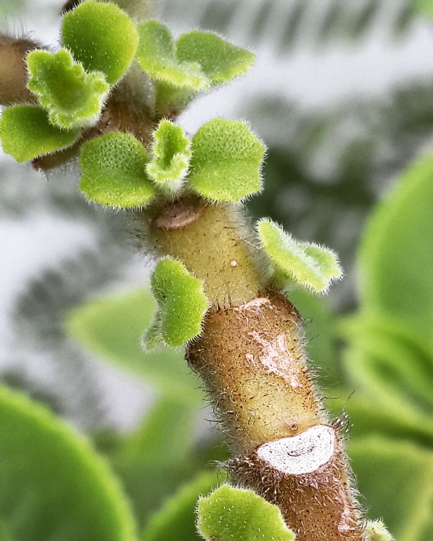 My Nature Photography