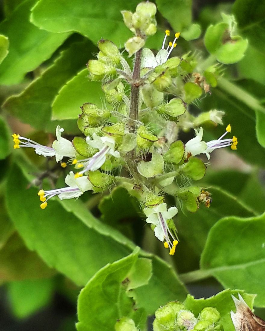 My Nature Photography