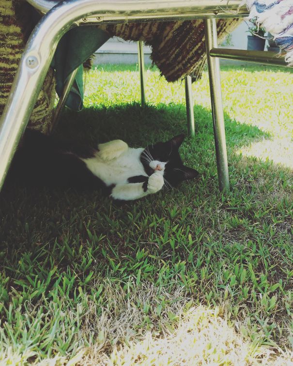 I'm Not Sleeping I'm Boxing!