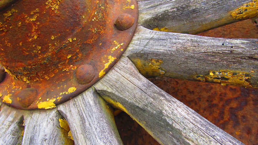 Walking In The Circus Wagon Graveyard