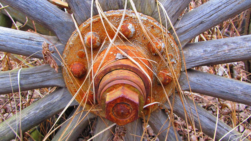 Walking In The Circus Wagon Graveyard