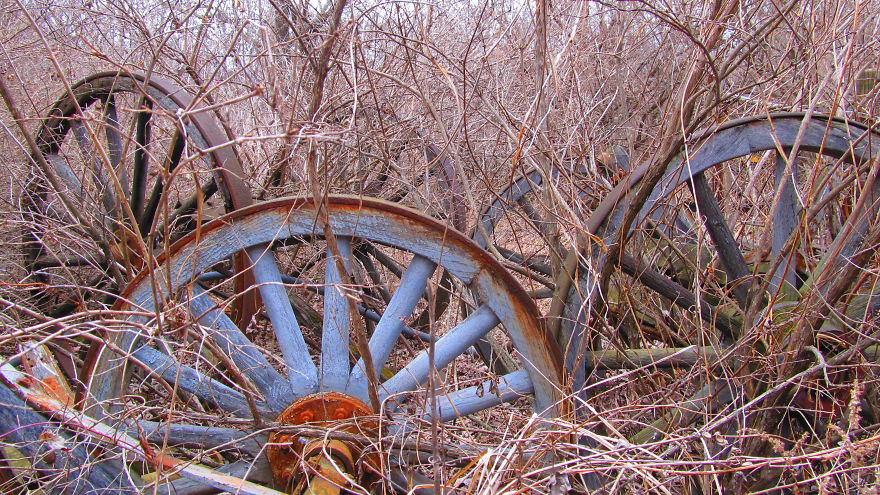 Walking In The Circus Wagon Graveyard