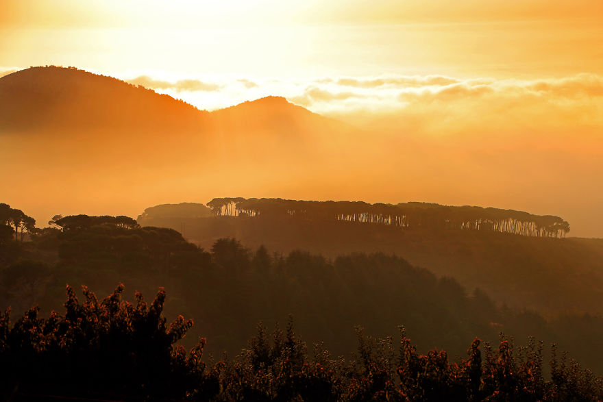 I Show The Beauty Of Lebanon In All Its Seasons