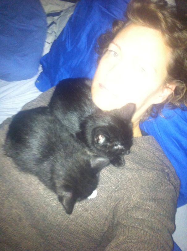 Shhh... They're Sleeping!