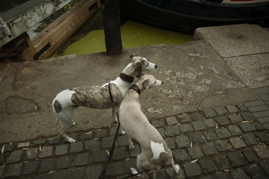 I Photograph Camden Town Streets In London Trying To Reflect Its Special Atmosphere