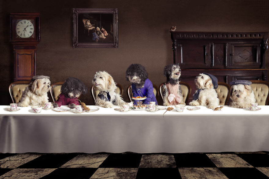 I Create Surreal Photos Of My Pets Using Photoshop (Part 2)