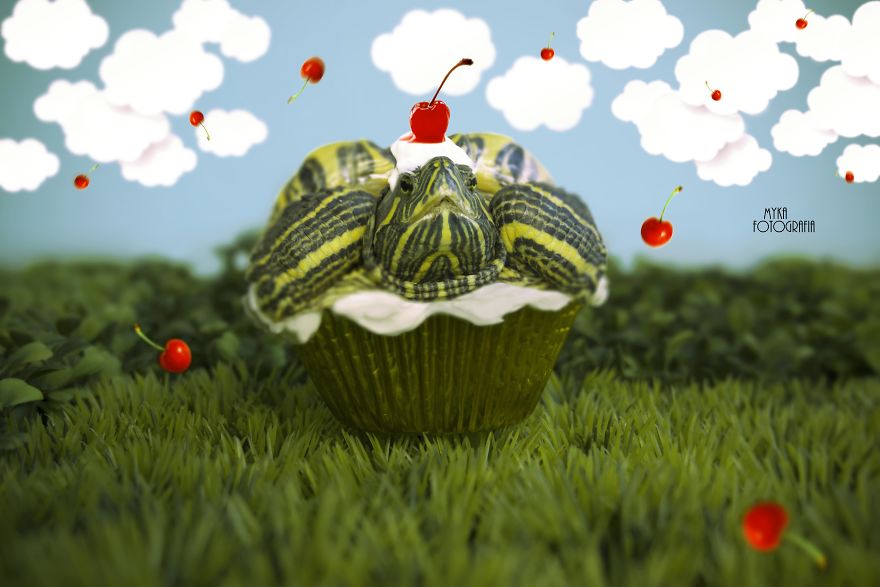 I Photograph Pets In Funny Moments To Raise Money For Charity I Photograph Pets In Funny Moments To Raise Money For Charity