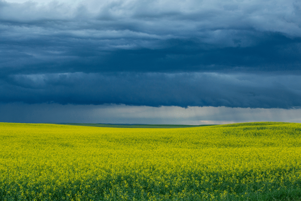 The Only Cliff I’m Willing To Step Off.