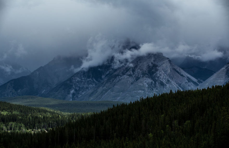 The Only Cliff I'm Willing To Step Off.