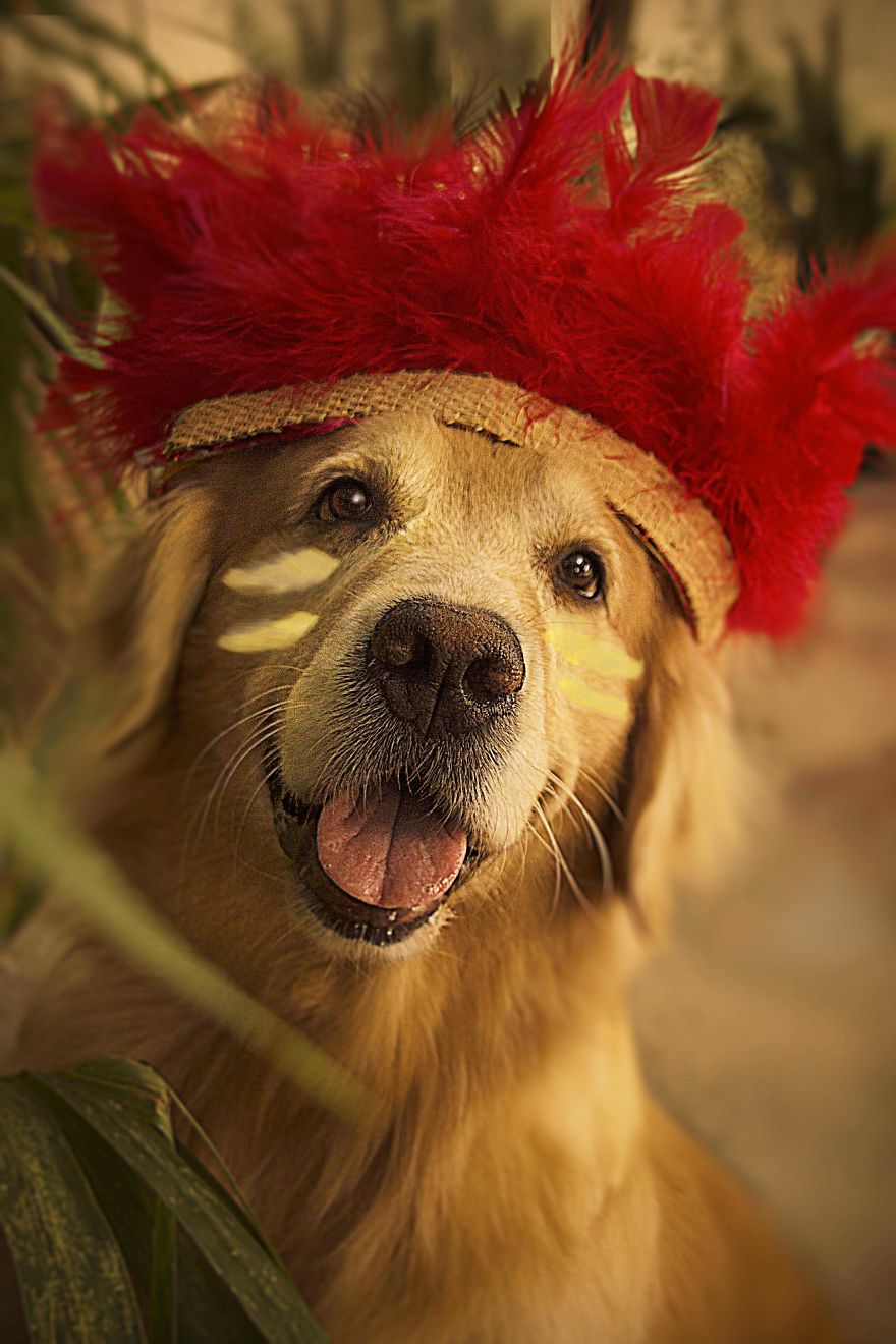 I Photograph Pets In Funny Moments To Raise Money For Charity