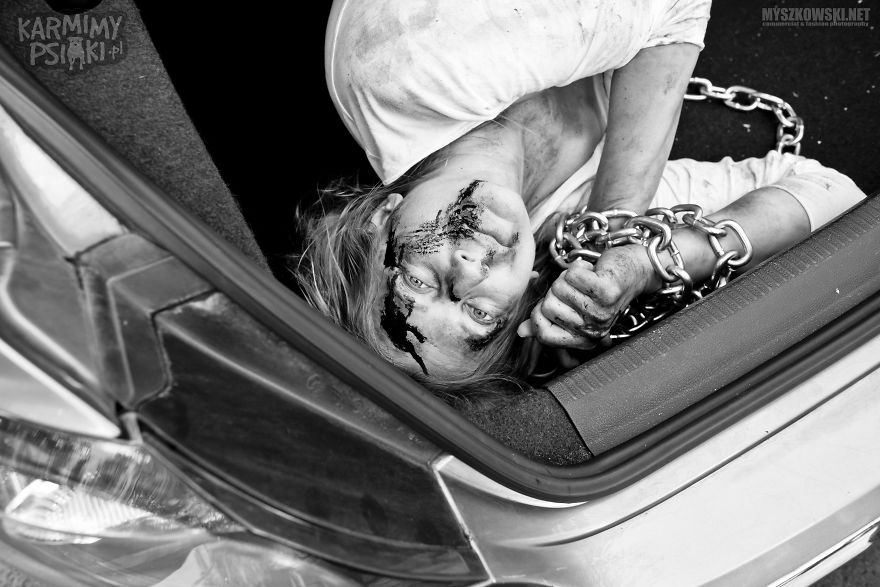 Polish Charity Launched A Social Campaign Aimed To Fight Against Pets’ Abandonment