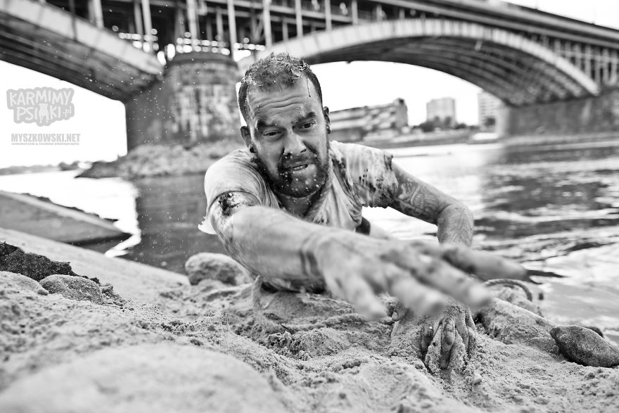 Polish Charity Launched A Social Campaign Aimed To Fight Against Pets’ Abandonment Polish Charity Launched A Social Campaign Aimed To Fight Against Pets’ Abandonment