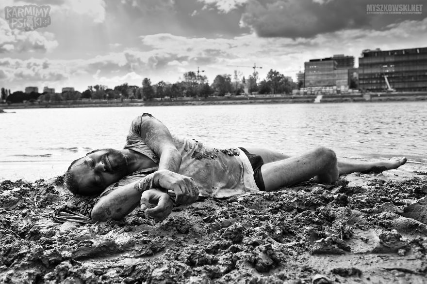 Polish Charity Launched A Social Campaign Aimed To Fight Against Pets’ Abandonment Polish Charity Launched A Social Campaign Aimed To Fight Against Pets’ Abandonment