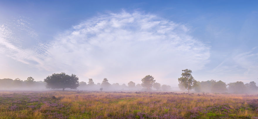 Why You Should Visit My Homeland The Netherlands In August - A Purple Dream