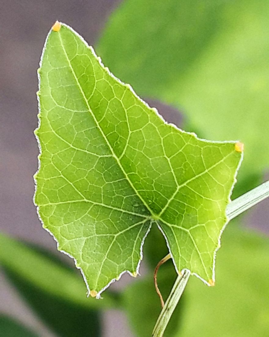 My Nature Photography