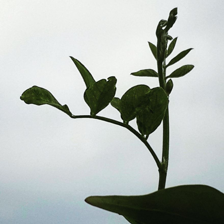 My Nature Photography