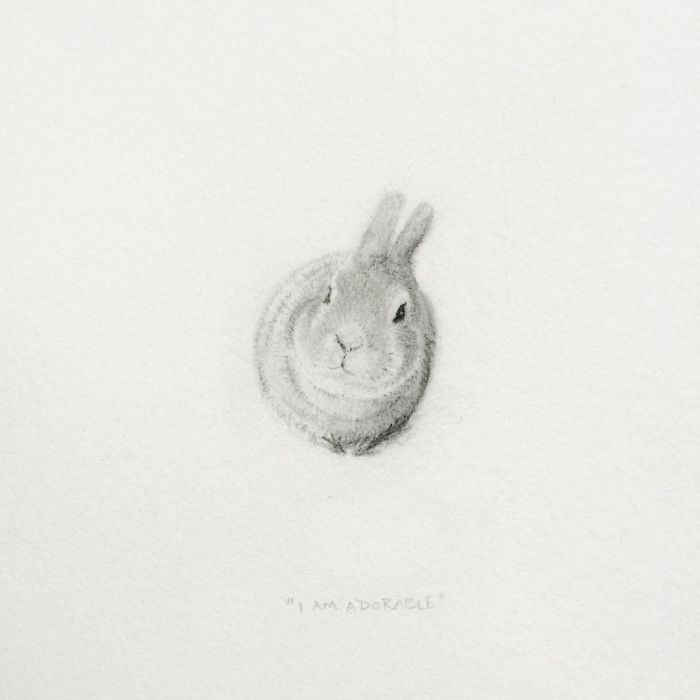 My One Year Commitment