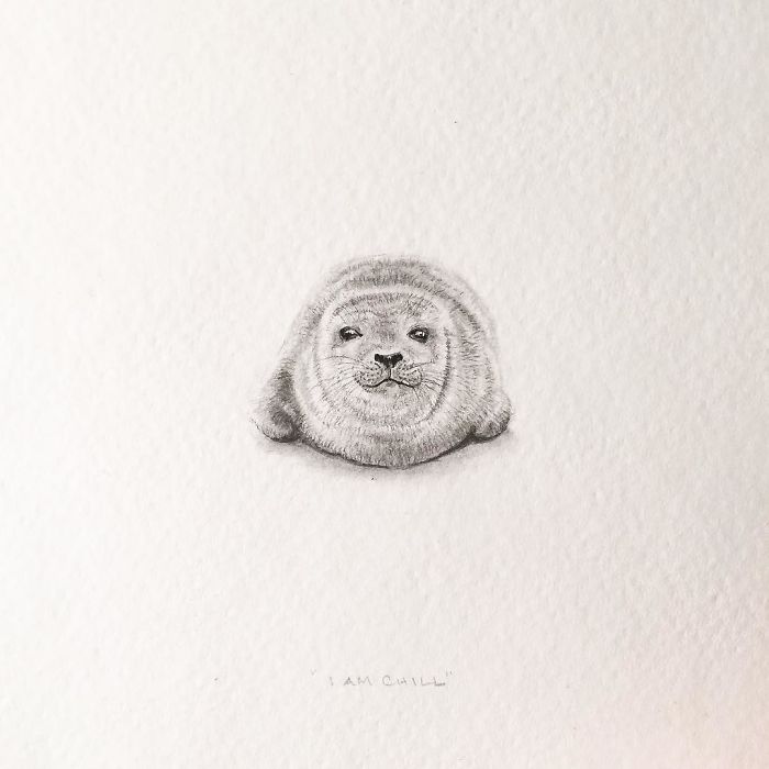 My One Year Commitment