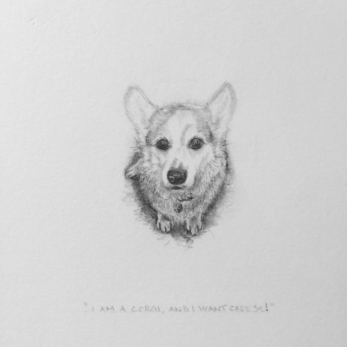 My One Year Commitment