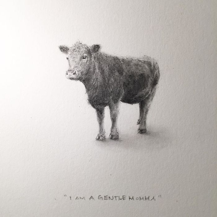 My One Year Commitment