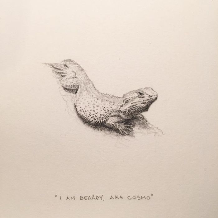 My One Year Commitment