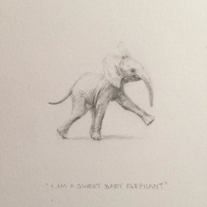 My One Year Commitment