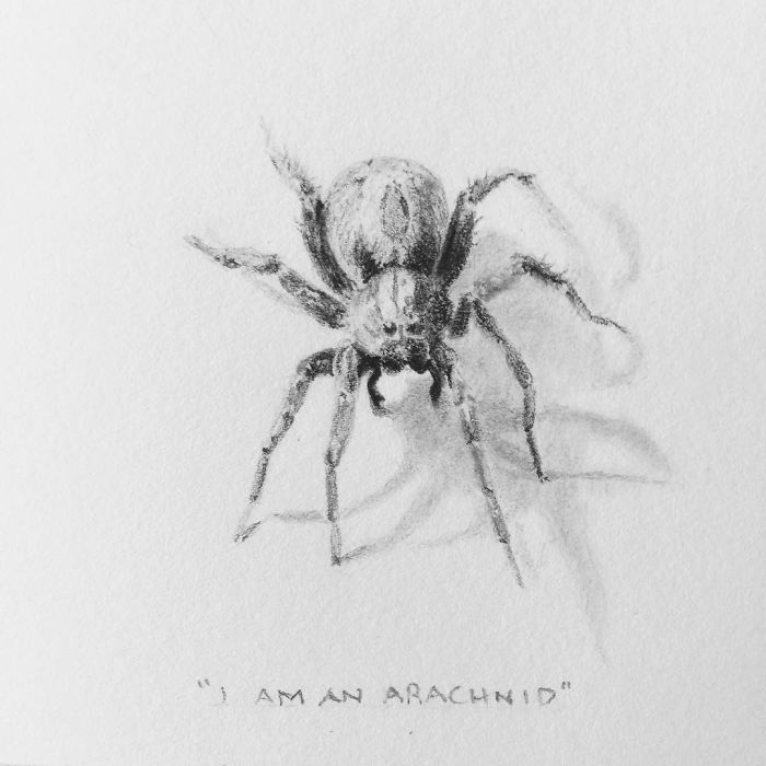 My One Year Commitment