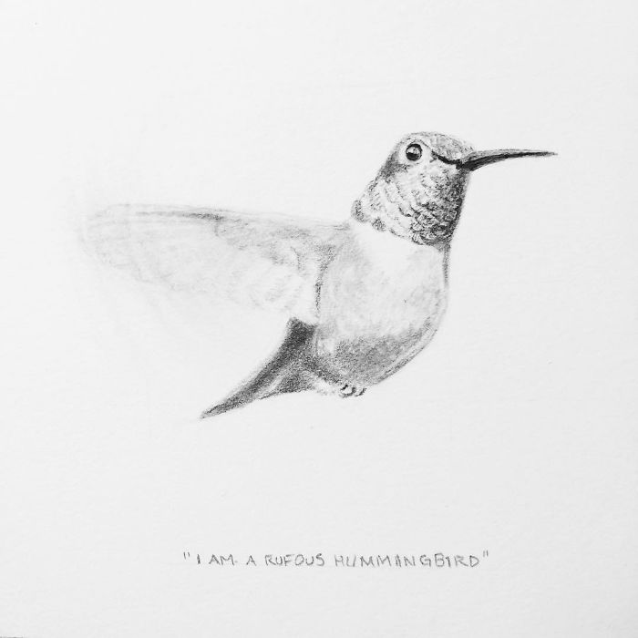 My One Year Commitment