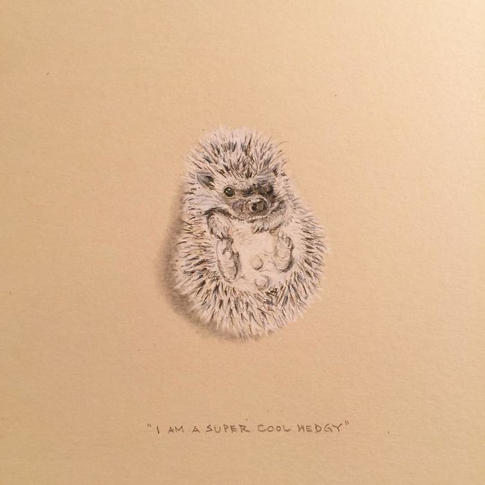 My One Year Commitment