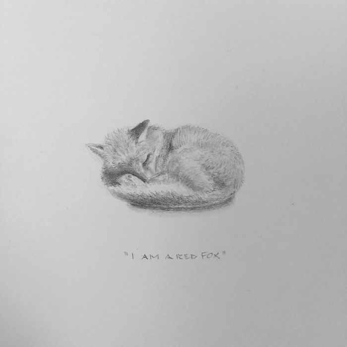 My One Year Commitment