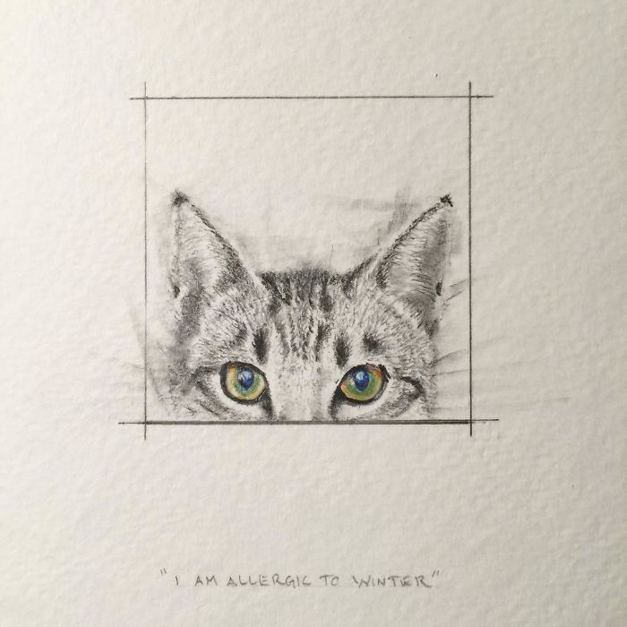 My One Year Commitment