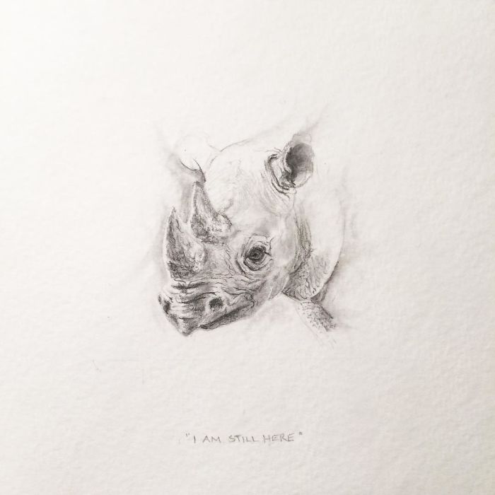 My One Year Commitment