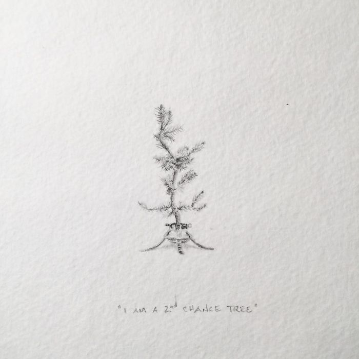 My One Year Commitment