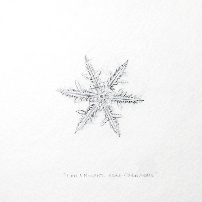 My One Year Commitment