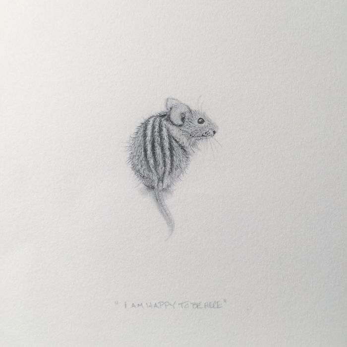 My One Year Commitment