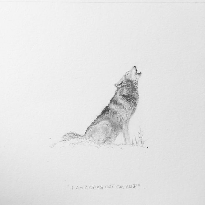 My One Year Commitment