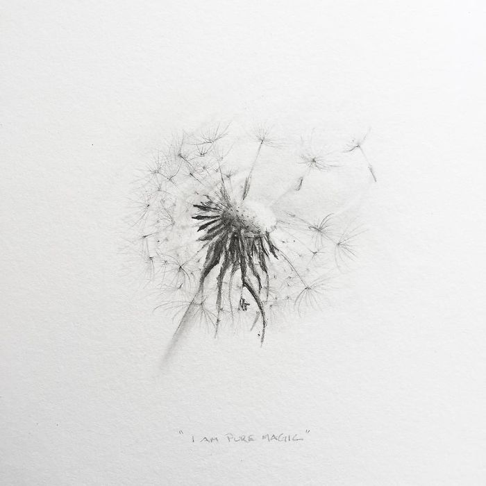 My One Year Commitment